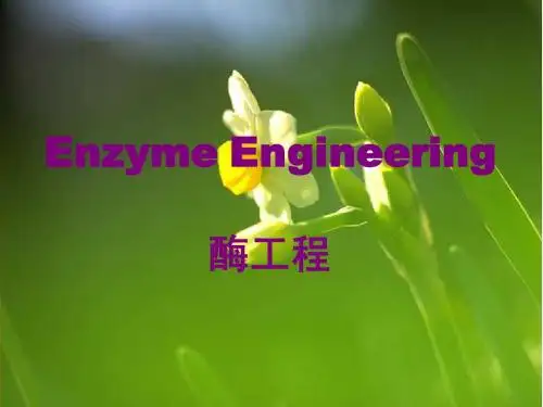 第五部分 核酶和抗体酶
