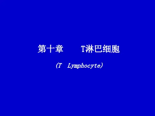 第十章 T淋巴细胞