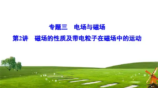 2020新课标高考物理二轮总复习课件：1-3-2 磁场的性质及带电粒子在磁场中的运动