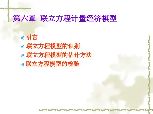 第六章__联立方程计量经济学模型