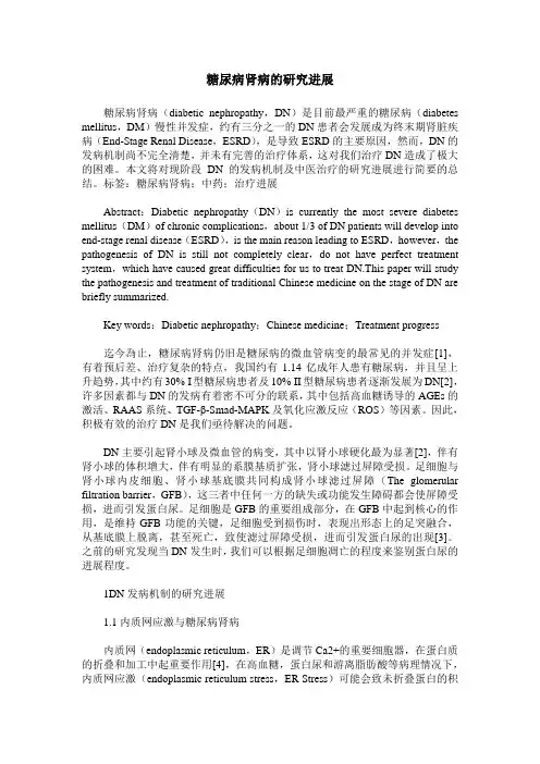 糖尿病肾病的研究进展