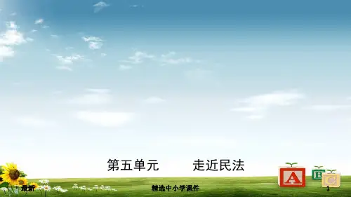 精选-中考道德与法治复习九上第五单元走进民法课件
