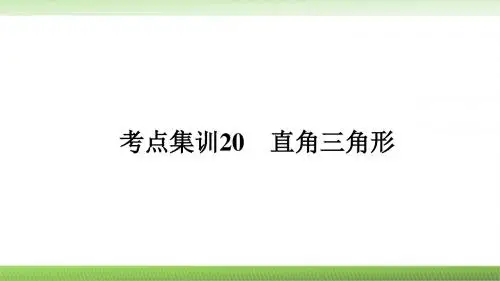 考点集训20 直角三角形    浙江《中考面对面》课件PPT