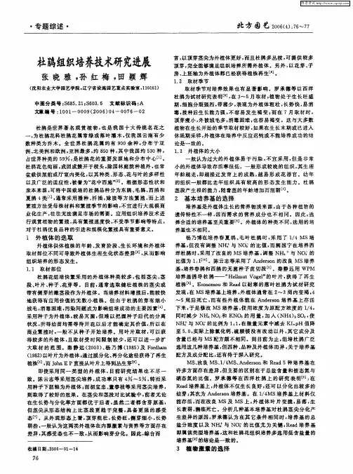杜鹃组织培养技术研究进展