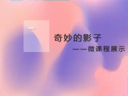 幼儿园大班微课程PPT展示:奇妙的影子