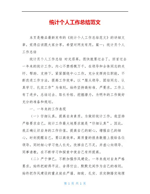 统计个人工作总结范文
