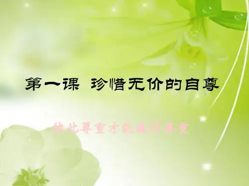 彼此尊重才能赢得尊重PPT教学课件