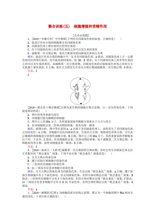 2020版高考生物二轮复习整合训练(五)细胞增殖和受精作用(含解析)