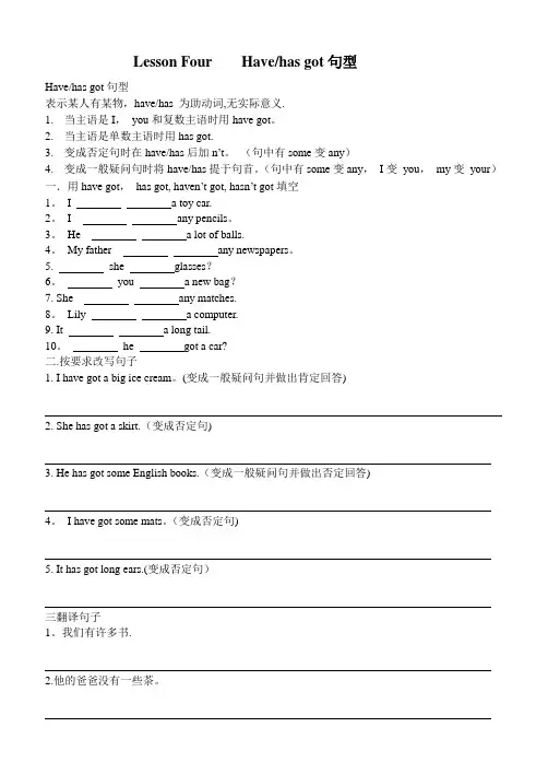have-has-got句型