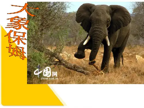语文s版_小学三年级下册_《大象保姆》课件(PPT)