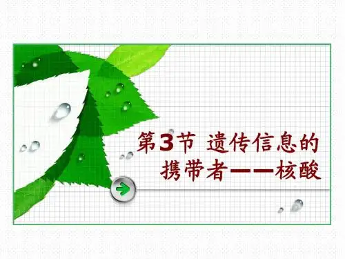 遗传信息的携带者—核酸