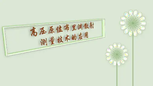高压原位布里渊散射测量技术的应用