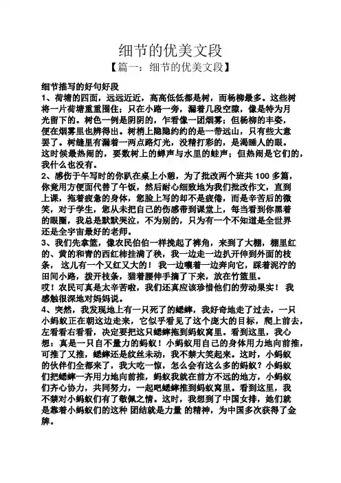 细节的优美文段