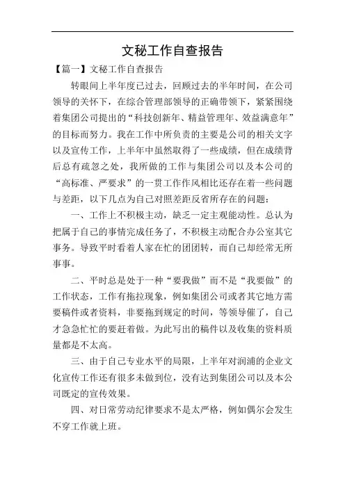 文秘工作自查报告