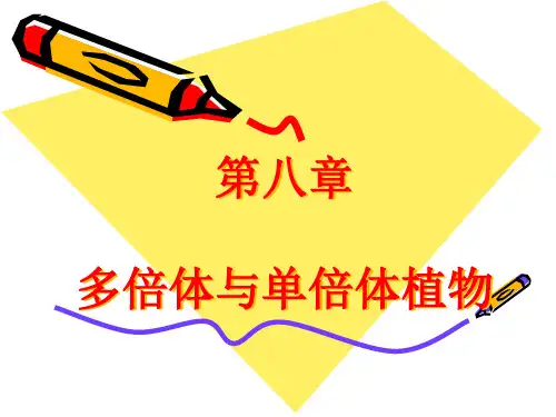 8 多倍体与单倍体植物2012解析