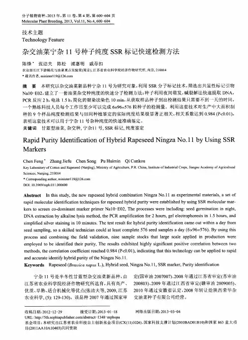杂交油菜宁杂11号种子纯度SSR标记快速检测方法