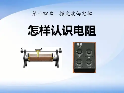 《怎样认识电阻》探究欧姆定律3-粤沪版九年级物理上册PPT课件