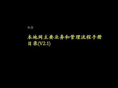 麦肯锡-流程手册2.1汇编