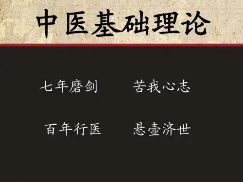 中基ppt