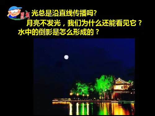 光的反射和折射  ppt课件