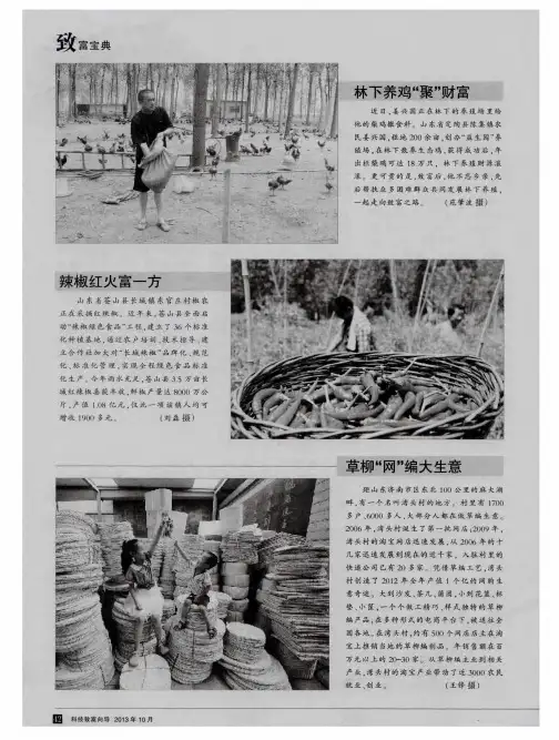 林下养鸡“聚”财富