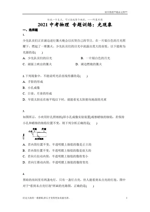 2021年人教版中考物理专题训练：光现象(含答案)