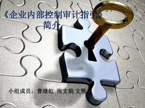 内部控制审计指引