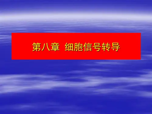 第8章 信号传导