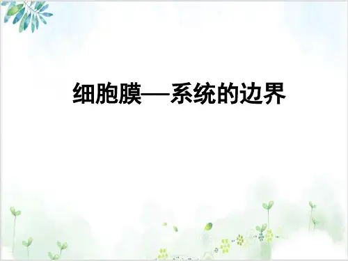 人教版高中生物必修一细胞膜——系统的边界(15张)-PPT优秀课件