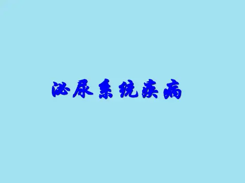 泌尿系统疾病 病理学