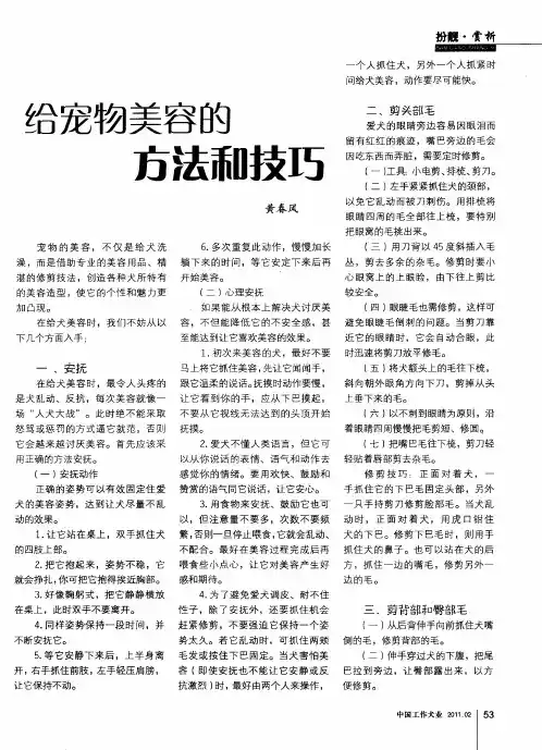 给宠物美容的方法和技巧