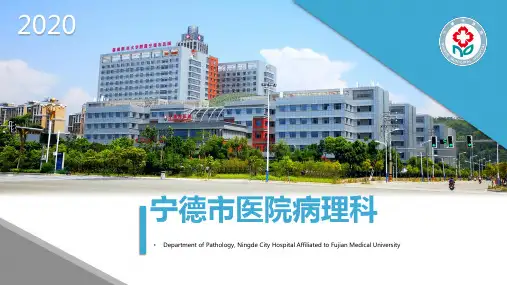 免疫组化技术及应用