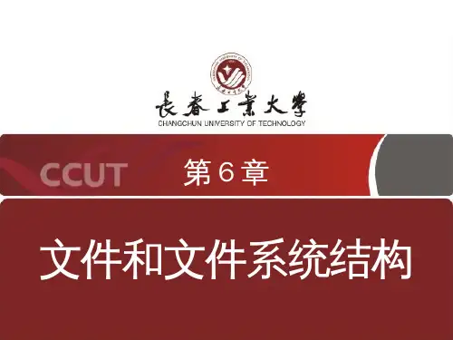 学习linux必看的教程6.文件和文件系统结构
