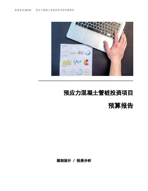 预应力混凝土管桩投资项目预算报告 (2)