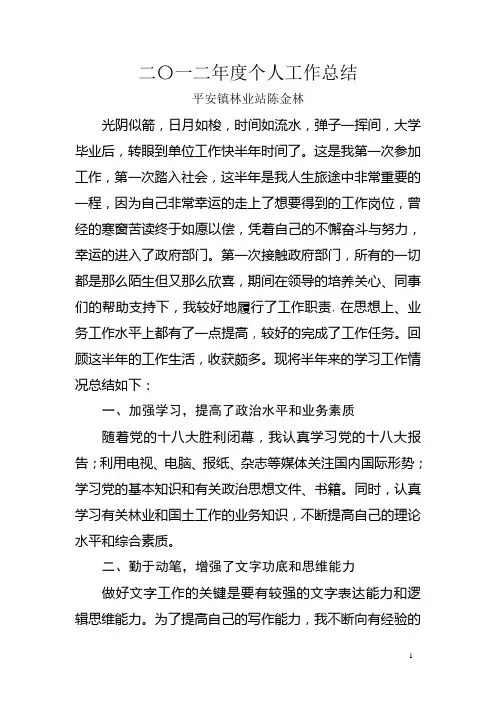 政府部门_个人工作总结2012