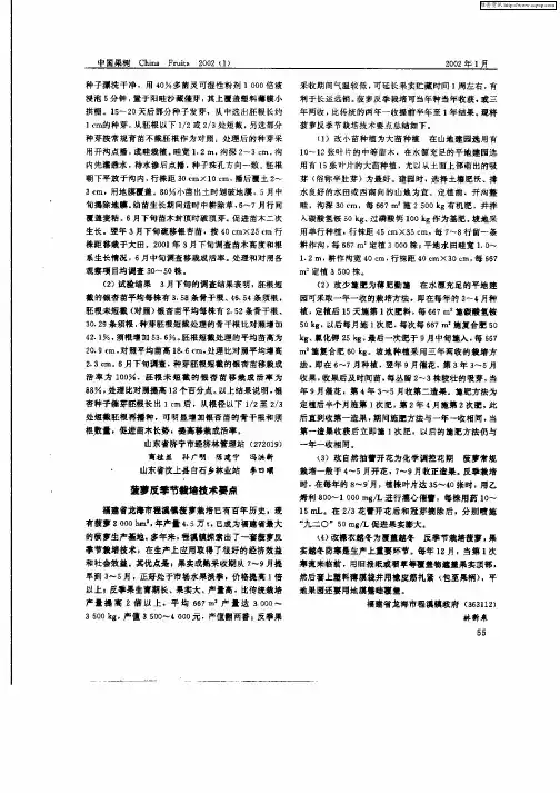 菠萝反季节栽培技术要点
