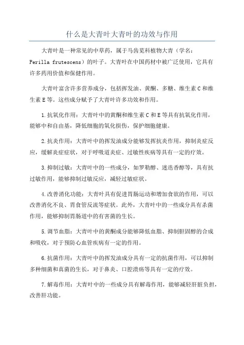 什么是大青叶大青叶的功效与作用