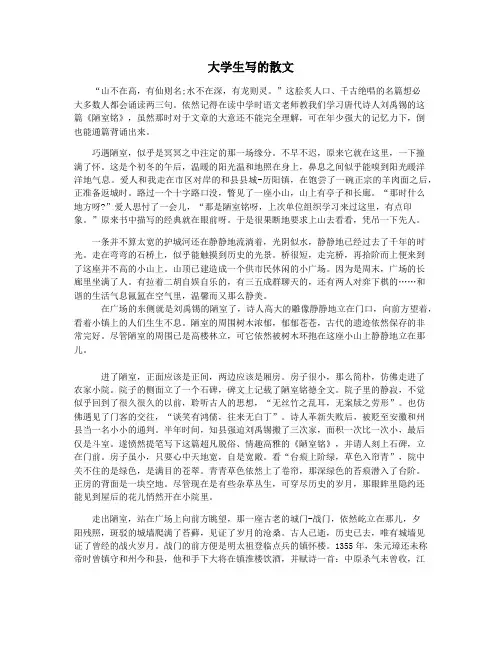 大学生写的散文