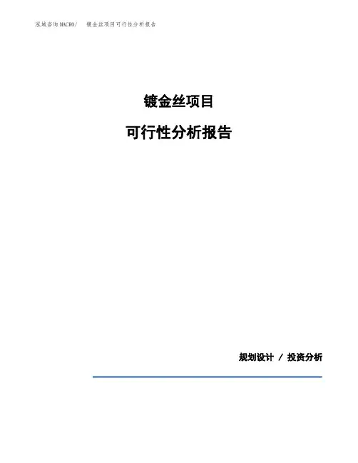 镀金丝项目可行性分析报告(模板参考范文)