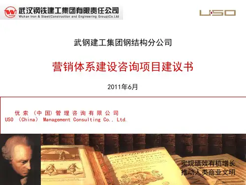 蔡晓清与优索团队给武钢建工集团钢结构分公司项目建议书