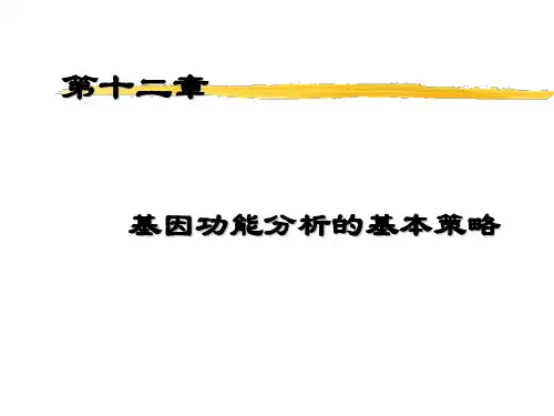 基因功能分析的基本策略课件PPT(共 71张)