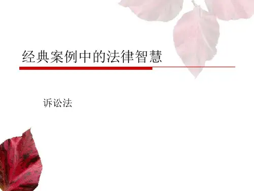 经典案例中的司法聪明诉讼