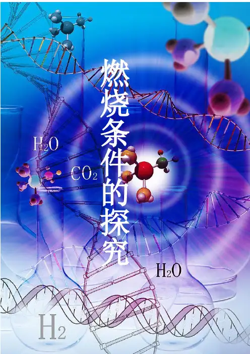 燃烧条件的探究 2
