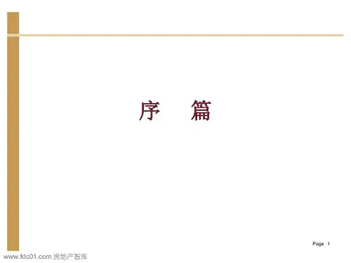 建业集团城市土地一级开发方案-项目前期