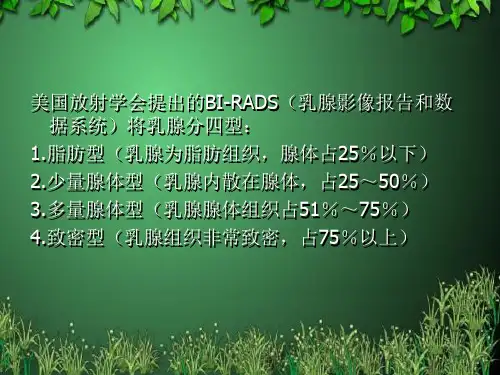 乳腺BIRADS分级应用精品PPT课件