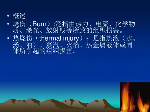 电烧伤的治疗原则.ppt