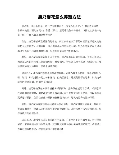 康乃馨花怎么养殖方法