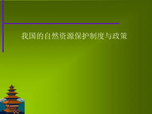 国家自然资源保护制度及政策战略.pptx