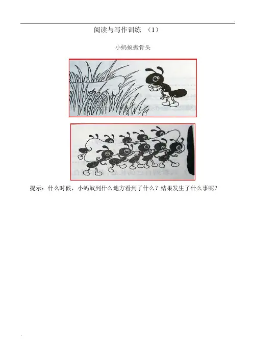 培训班材料---一二年级看图写话训练----精华--可直接打印