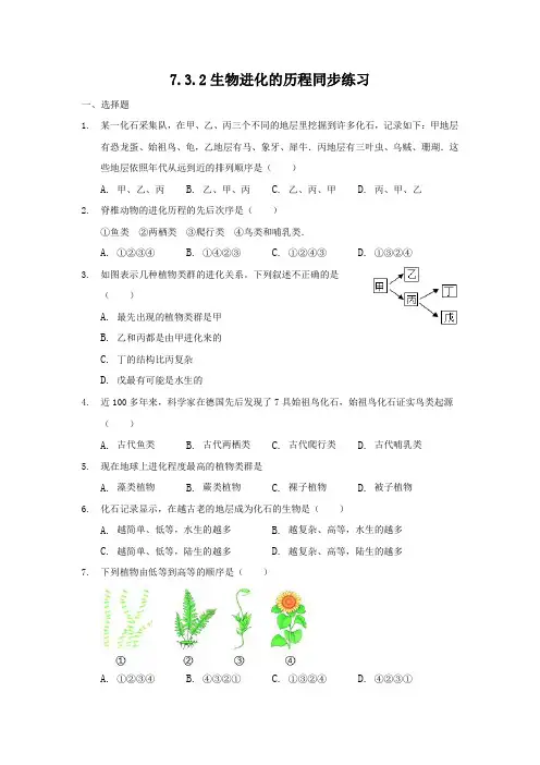 人教版八年级下册生物7.3.2生物进化的历程同步练习(解析版)